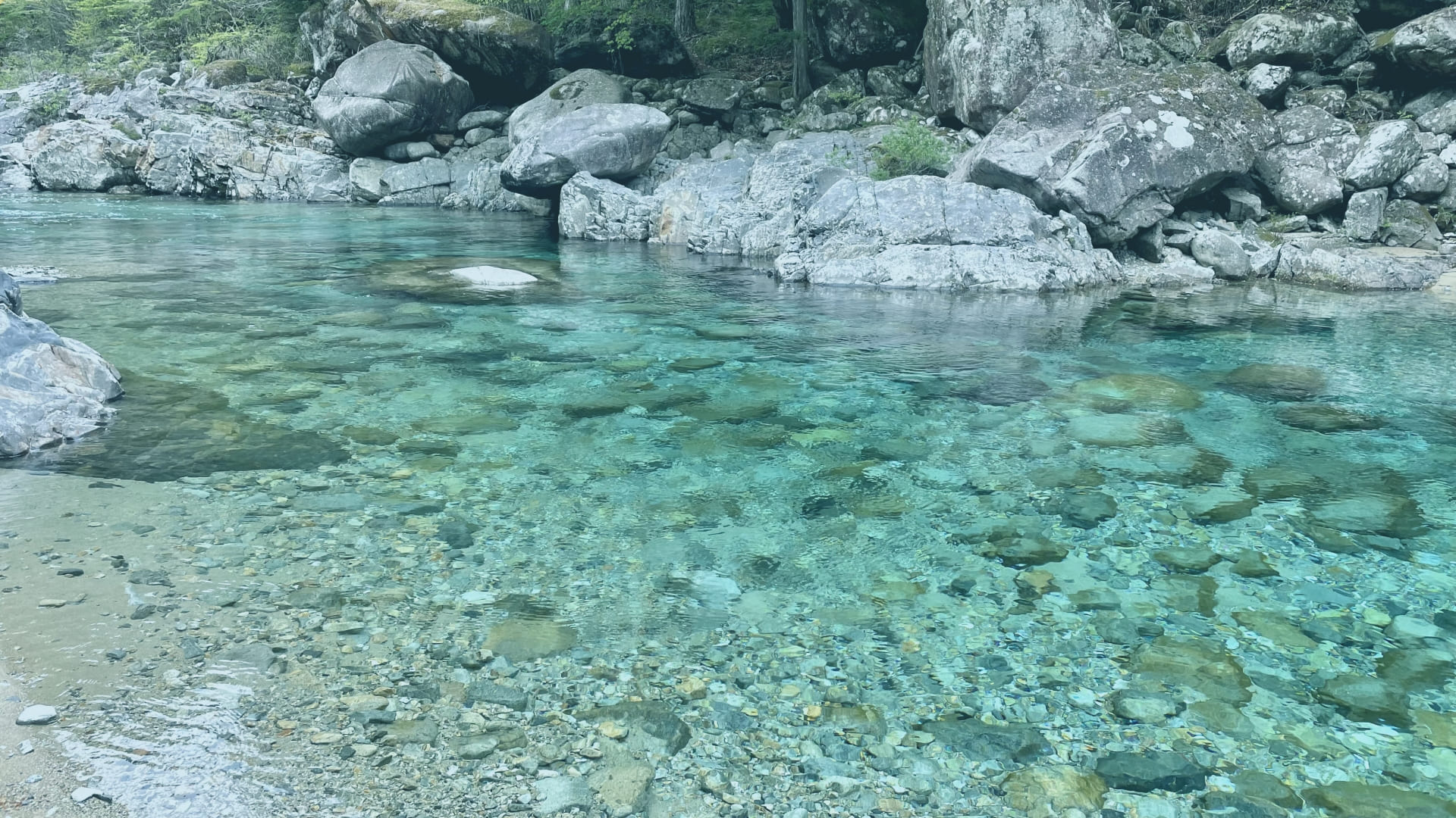 きれいな川の水